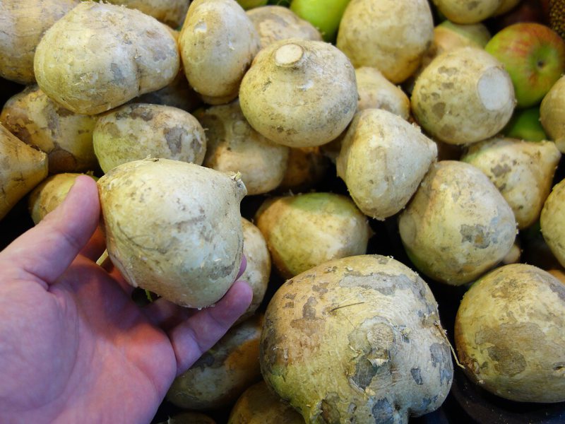 bengkoang
