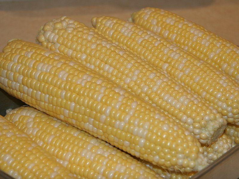 jagung